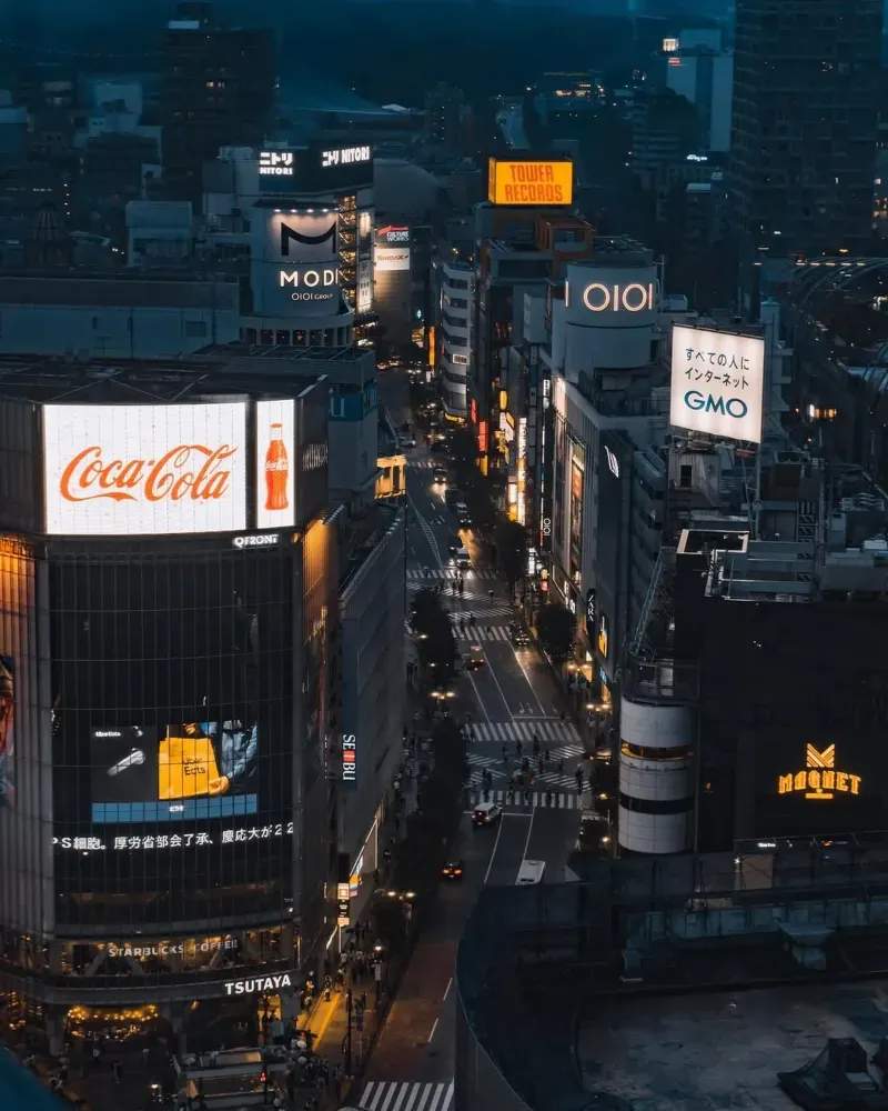 Northbridge Programmatic Media 8